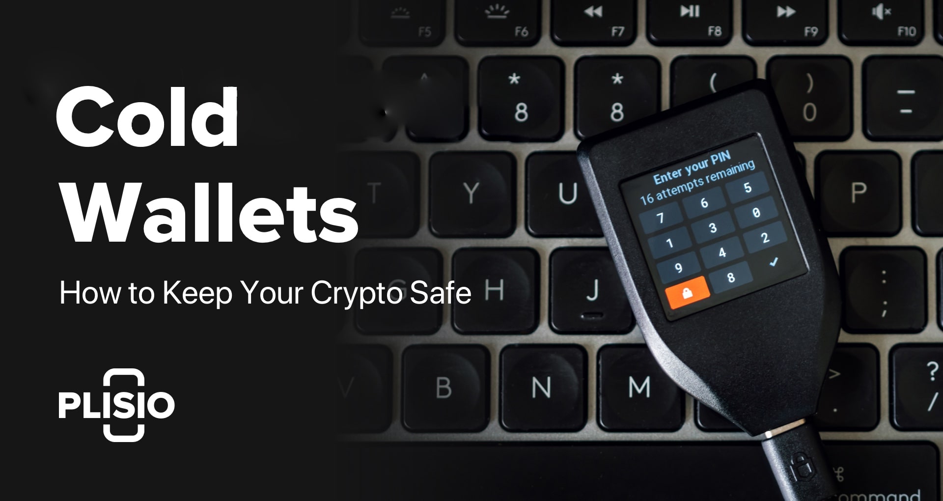 Kripto Dompet Dingin Terbaik