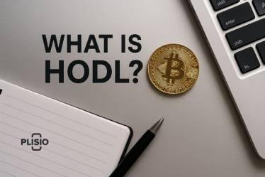 什么是 HODL？一个引发热议的加密货币术语